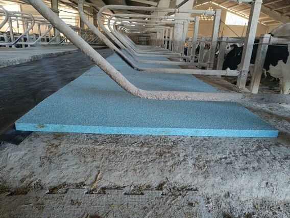 Novaya Solutions cow Mattress animal comfort world dairy expo 2026