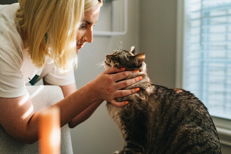 Veterinary clinic